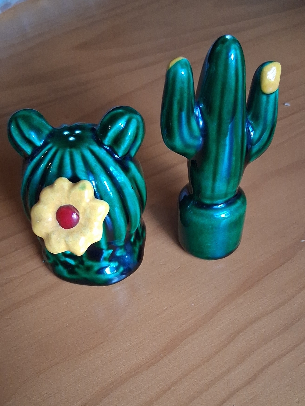 Green Ceramic Cactus Salt and Pepper Shaker Set